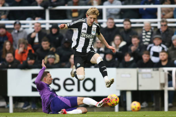 了提升球员 了提升球员